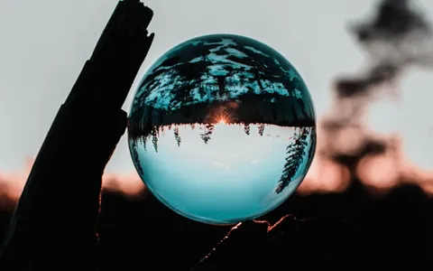 clear ball on wood trunk